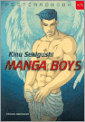 Manga Boys 9783861872894