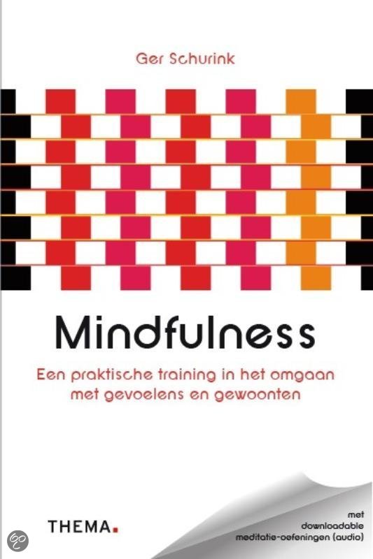 Mindfulness / druk 1 - G. Schurink EAN: 9789058714633