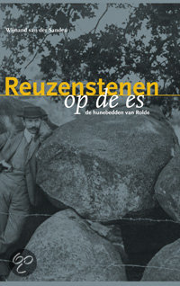 Cover van het boek 'Reuzestenen op de es' van Wijnand van der Sanden