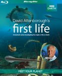 BBC Earth - First Life