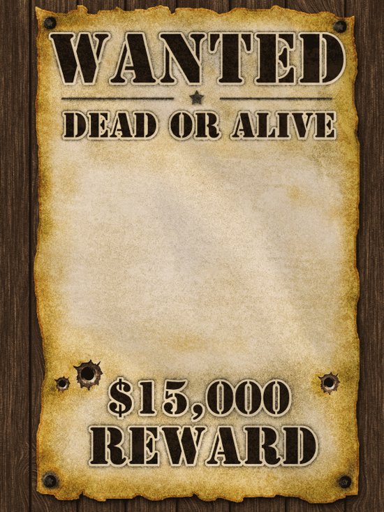 one-piece-wanted-poster-template