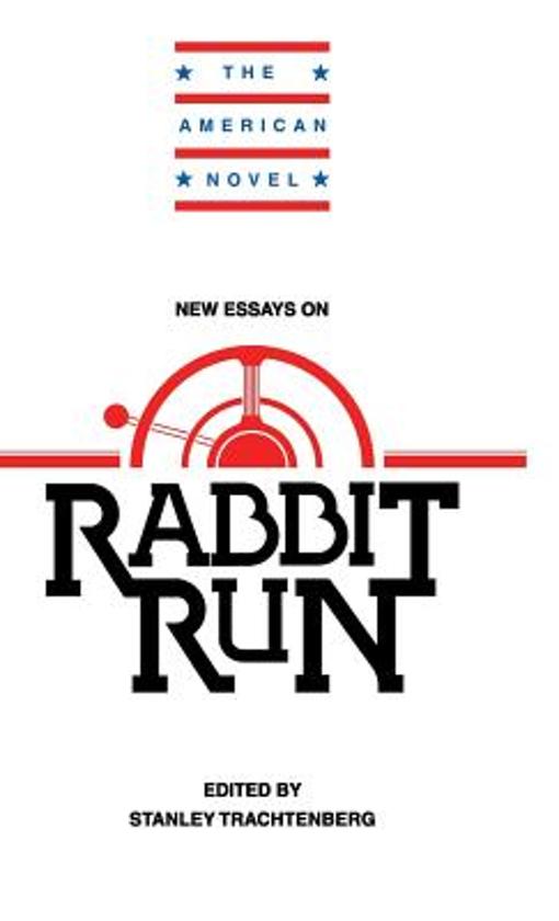 New essays on rabbit run