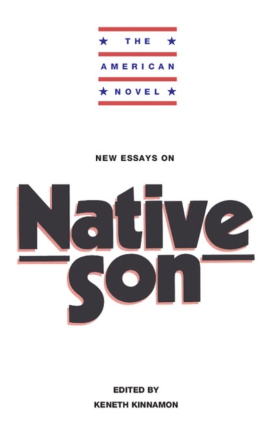 Native son   essay   essaysforstudent.com