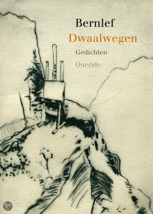 cover Dwaalwegen
