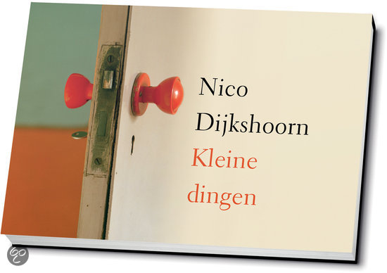 nico-dijkshoorn-kleine-dingen---dwarsligger-compact-formaat