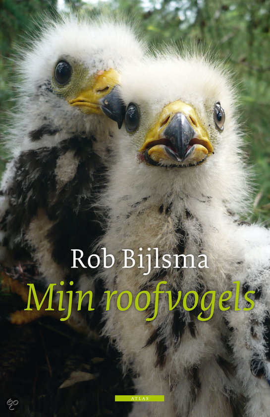 rob-bijlsma-mijn-roofvogels