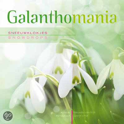 Galanthomania