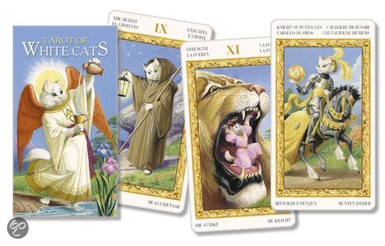 cover Scarabeo Tarot of White Cats / NL