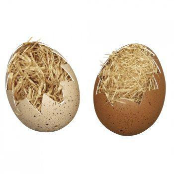 Afbeeldingsresultaat voor stro eieren