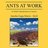 Ants at Work, A Child's Introduction to Careers - Amelia Gagu Harris - Ed S