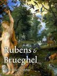 A.T. Woollett boek Rubens en Breughel Hardcover 34241533