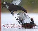 Arto Juvonen boek Vogelvlucht Hardcover 33160836
