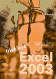 Dick Knetsch boek Werkboek Excel 2003 Paperback 30015444