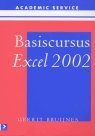 G. Bruijnes boek Basiscursus Excel 2002 Paperback 33938847