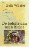 Beth Wheter boek De Belofte Aan Mijn Kleine Paperback 34252156