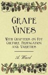  - Grape Vines