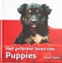 David Taylor boek Geheime leven van Puppies Hardcover 9,2E+15