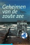 R.W.P.M. Laane boek Geheimen Van De Zout Zee Paperback 33943341