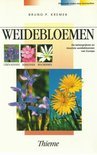 Bruno P. Kremer boek Weidebloemen Paperback 35715017