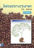 G. Laan boek Datastructuren in Java / druk 1 Paperback 34164796