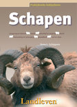 Hans Schippers boek Schapen Paperback 30020565