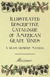 Meissner - Illustrated Descriptive Catalogue Of American Grape Vines - A Grape Growers Manual