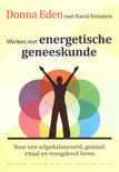 David Feinstein boek Werken met energetische geneeskunde Paperback 36096567