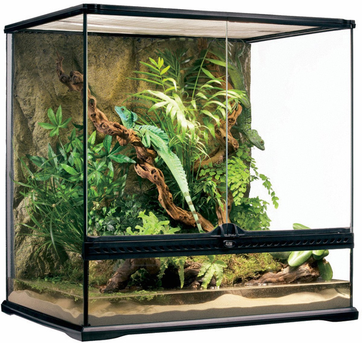 Exo Terra Glas Terrarium - Zwart - 60 x 45 x 60 cm