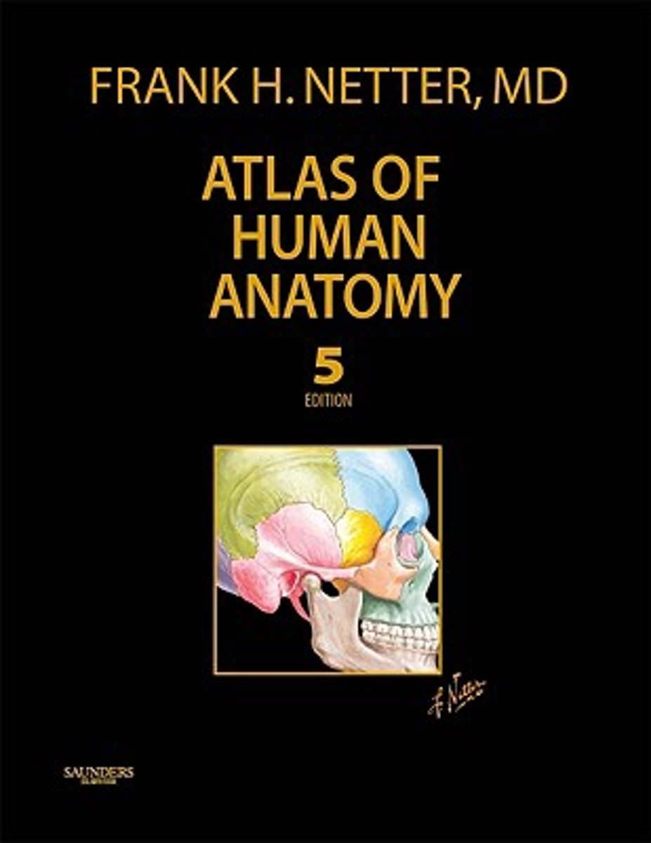 Фрэнк неттер атлас. Фрэнк Неттер атлас анатомии. Атлас анатомии человека Фрэнк Неттер 4 издание. Анатомический атлас человека Фрэнк Неттер. Atlas of Human Anatomy by Frank h. Netter.