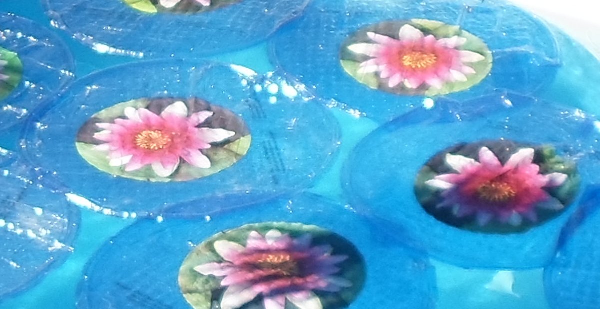 Solar Lily zwembadverwarming en afdekking 2 in 1