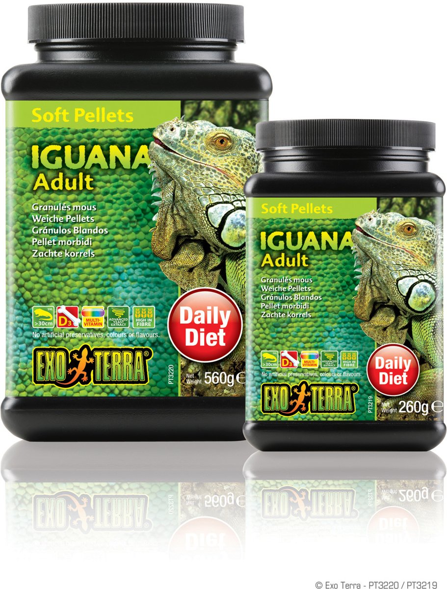 Iguana Adult 260 gram