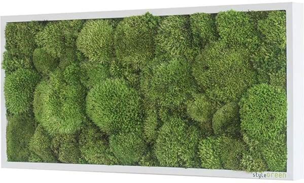 Verticale tuin - Pole moss - 57 x 27 cm