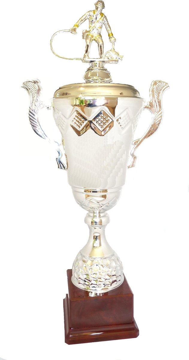 Visbeker Classic Big Fish Cup– Prijs Viswedstrijd Wisselbokaal Wisselbeker Beker Trofee Wedstrijd