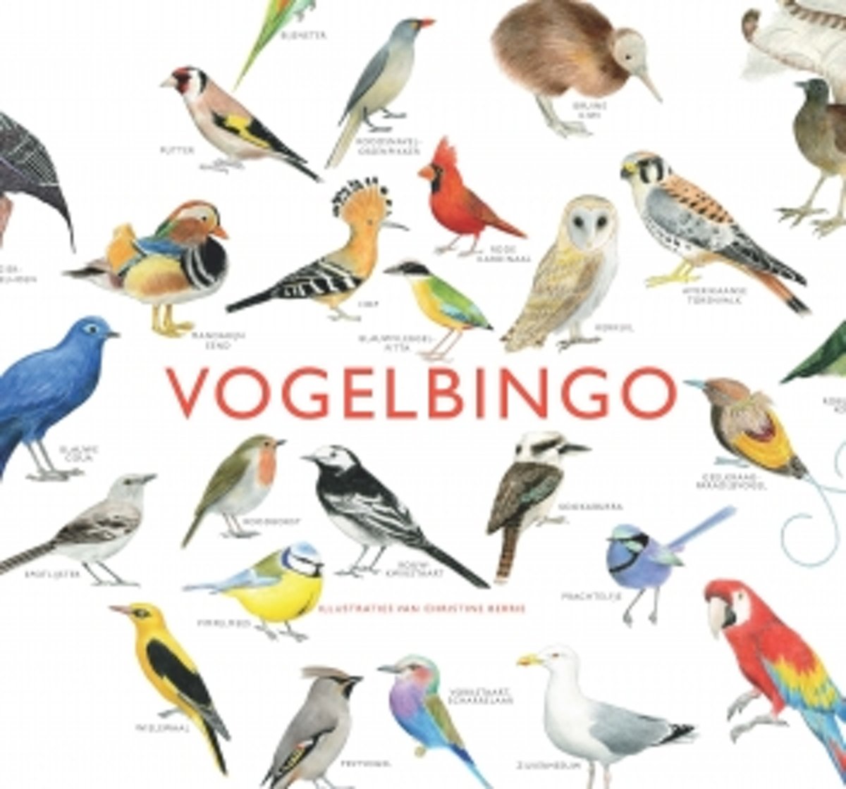 bol.com | Vogelbingo, Christine Berrie | 9789021563800 | Boeken