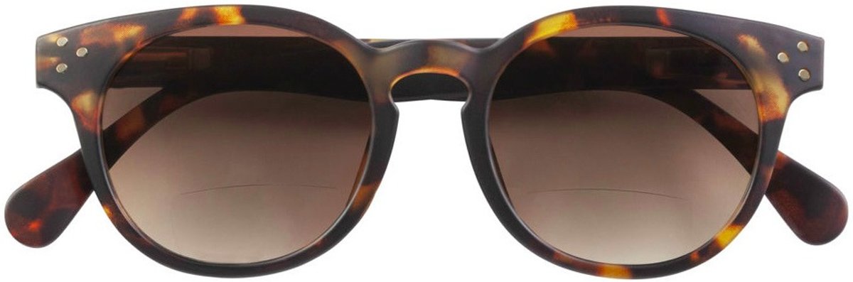 Foto van Zonnebril met leesdeel. Bifocale zonneleesbril, leesvak, sunreader,- model Piet. Sterkte 3.0