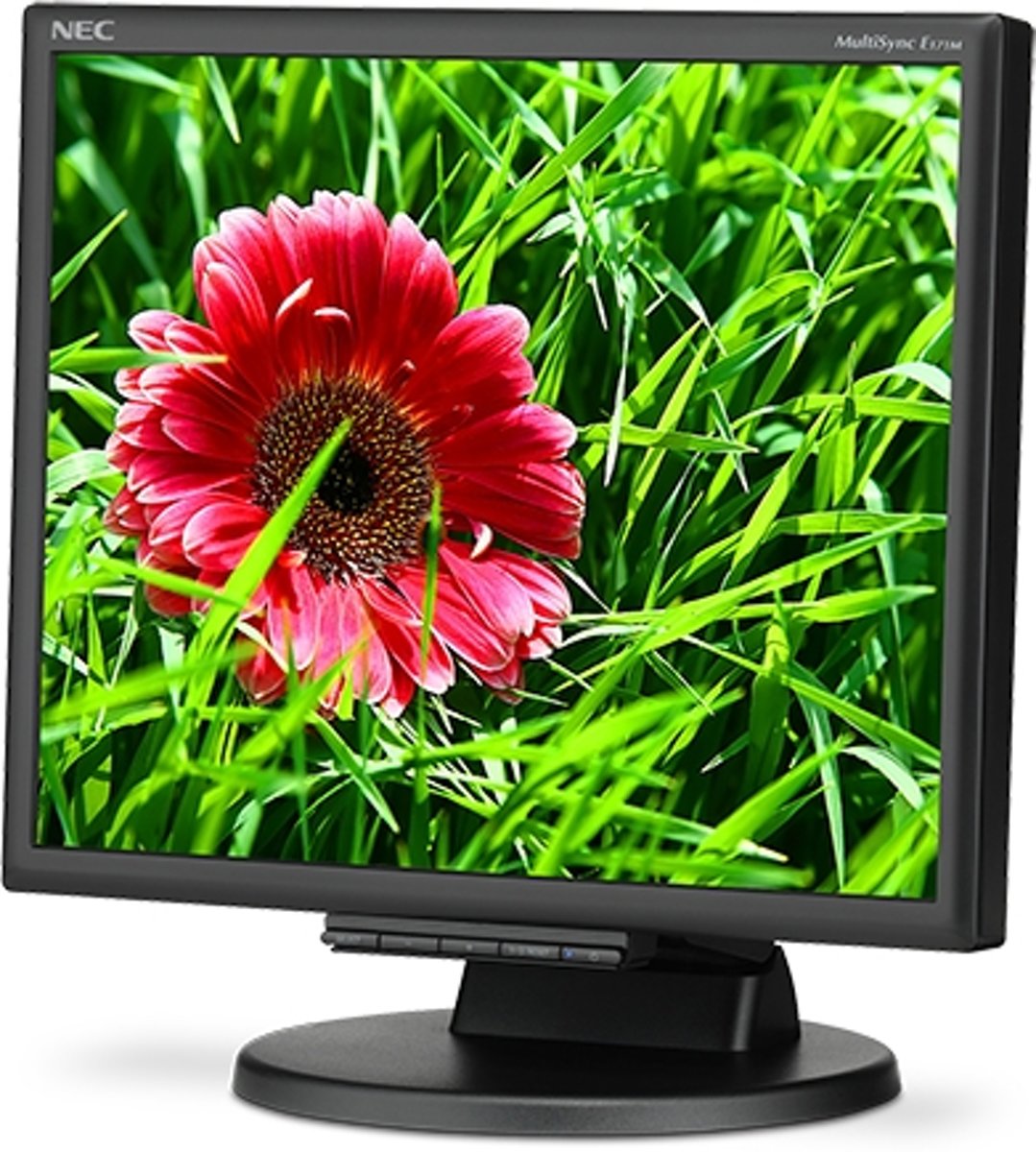 NEC MultiSync E171M 17'' LED Flat Zwart computer monitor