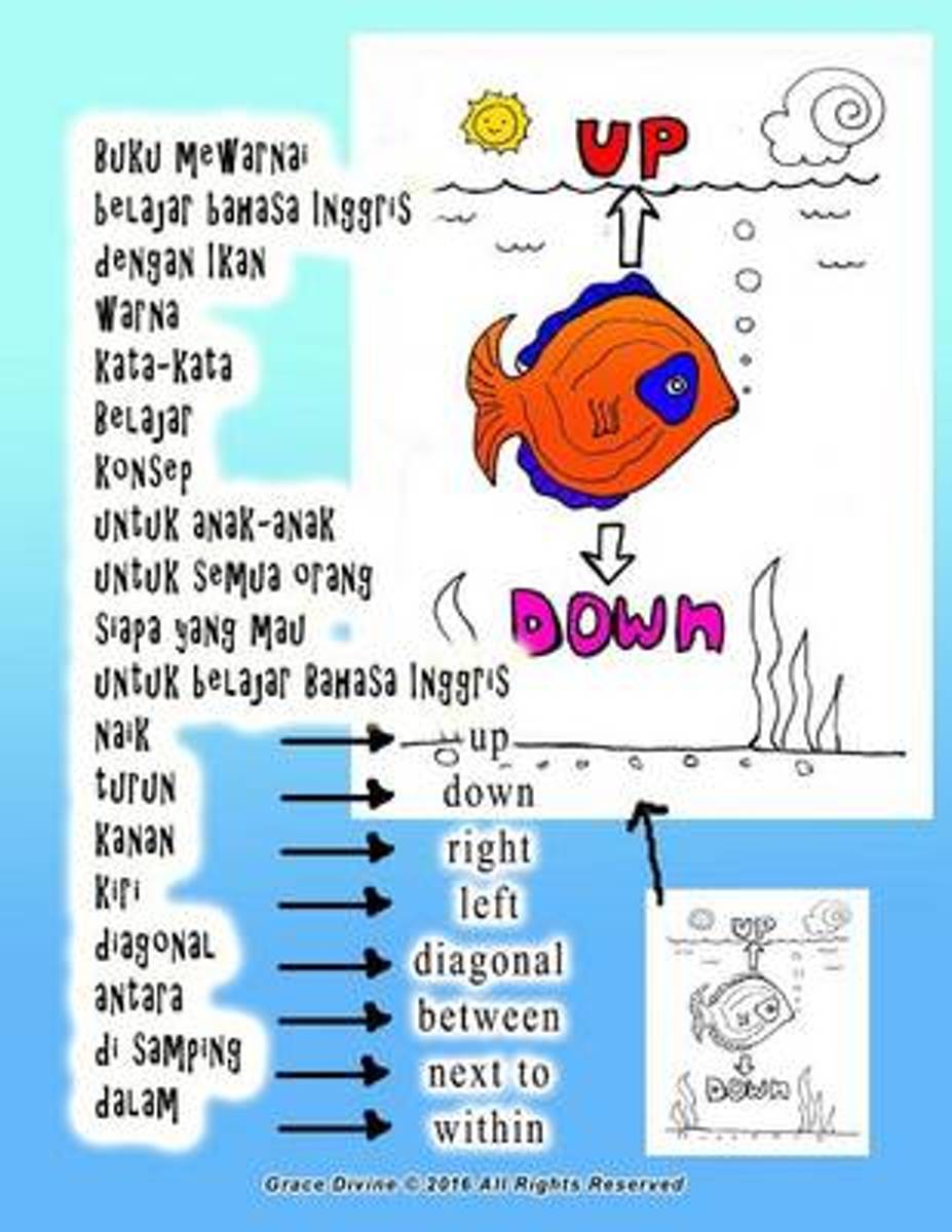 Bolcom Buku Mewarnai Belajar Bahasa Inggris Dengan Ikan Warna