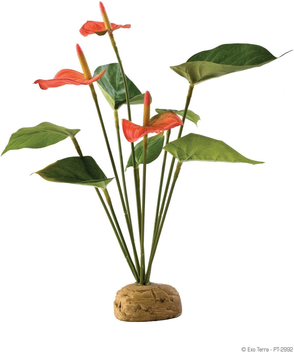 Exo Terra Rainforest Plant Anthuriumbush per stuk