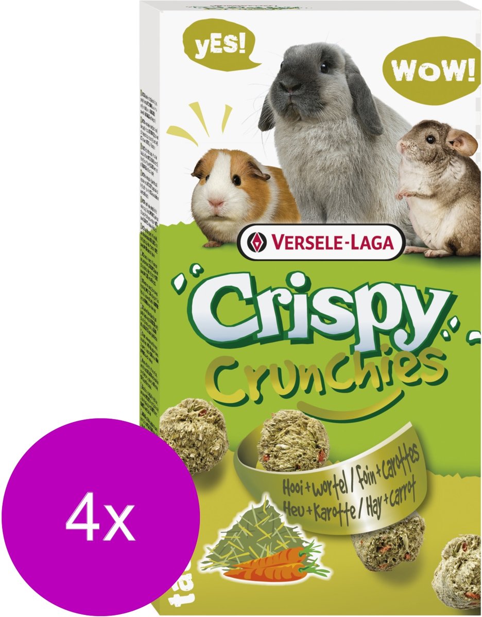 Versele-Laga Crispy Crunchies Hooi - Knaagdiersnack - 4 x Natuur 75 g
