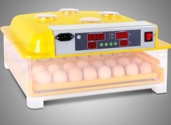 Broedmachine met 4 kijkvensters, voor 48 eieren. DQ48KV.