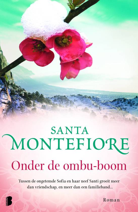 santa-montefiore-onder-de-ombu-boom