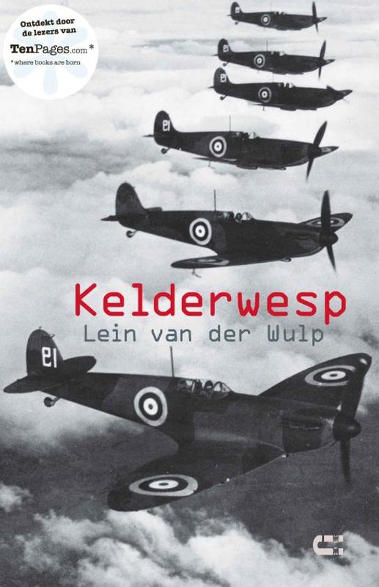 Kelderwesp - Lein van der Wulp | Nextbestfoodprocessors.com