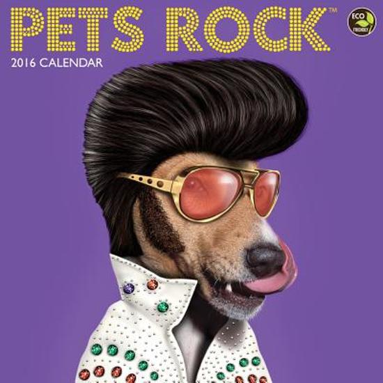 Pets Rock Calendar 9781624381355 Not Available Boeken