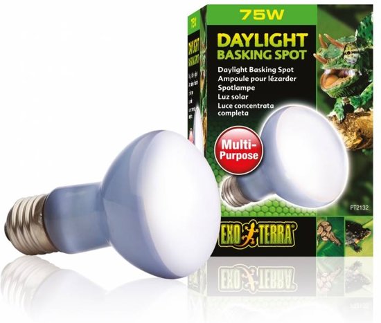 Daylight Basking Spot Lamp - 100W