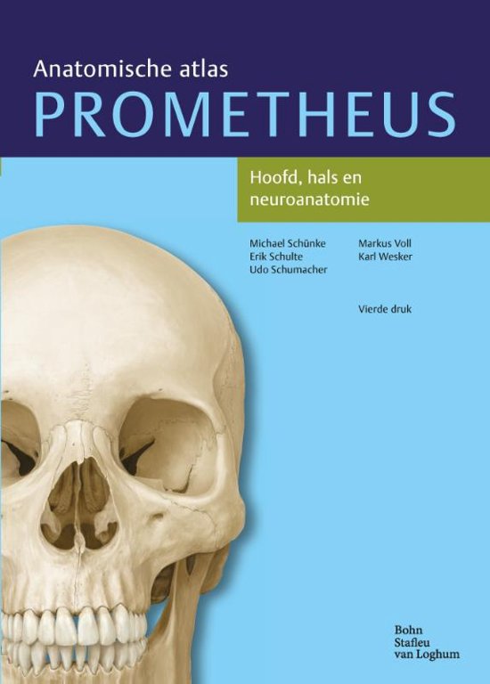 Hoofd, hals en neuroanatomie, Anatomie samenvatting gebasseerd op het boek, voor periode 1 (duidelijk met veel plaatjes)