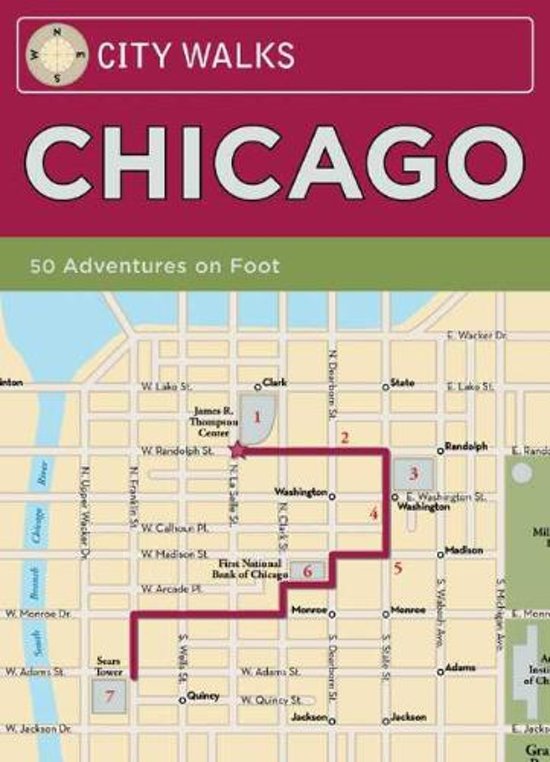 Afbeelding van het spel City Walks Chicago