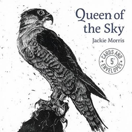Afbeelding van het spel Jackie Morris Queen of the Sky