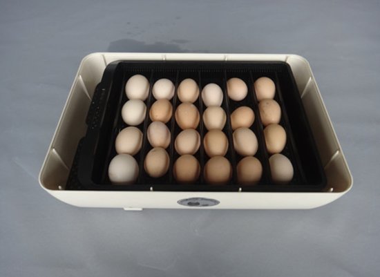 Broedmachine voor 24 eieren JN24