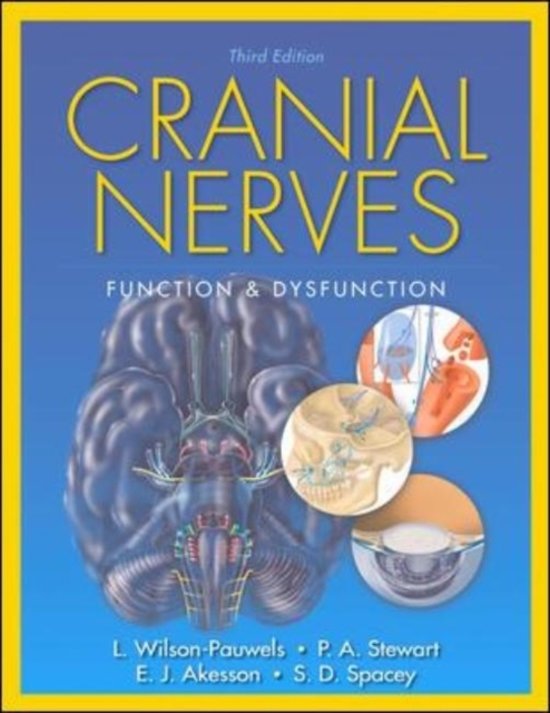 Neuro anatomie: H3  Nerves oculomotorius