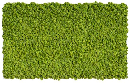 reindeer moss picture 100 x 60 CM voorjaar
